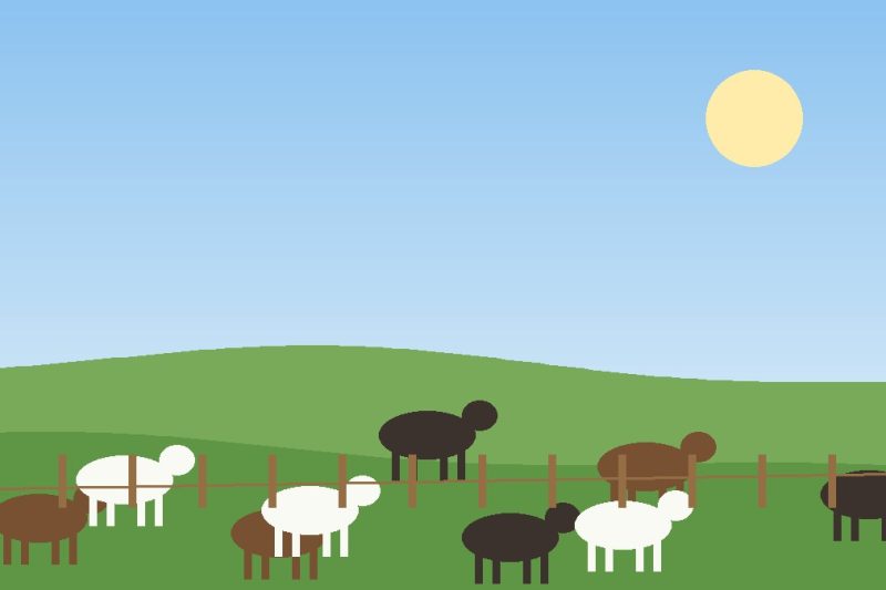Bois pastando em um campo verde com cerca